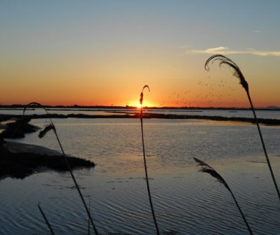 tramonto-via-delle-valli