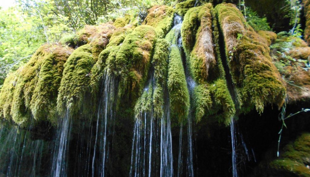 cascate Capelli di Venere, Casaletto Spartano