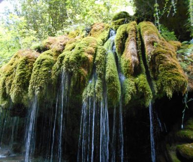 cascate Capelli di Venere, Casaletto Spartano