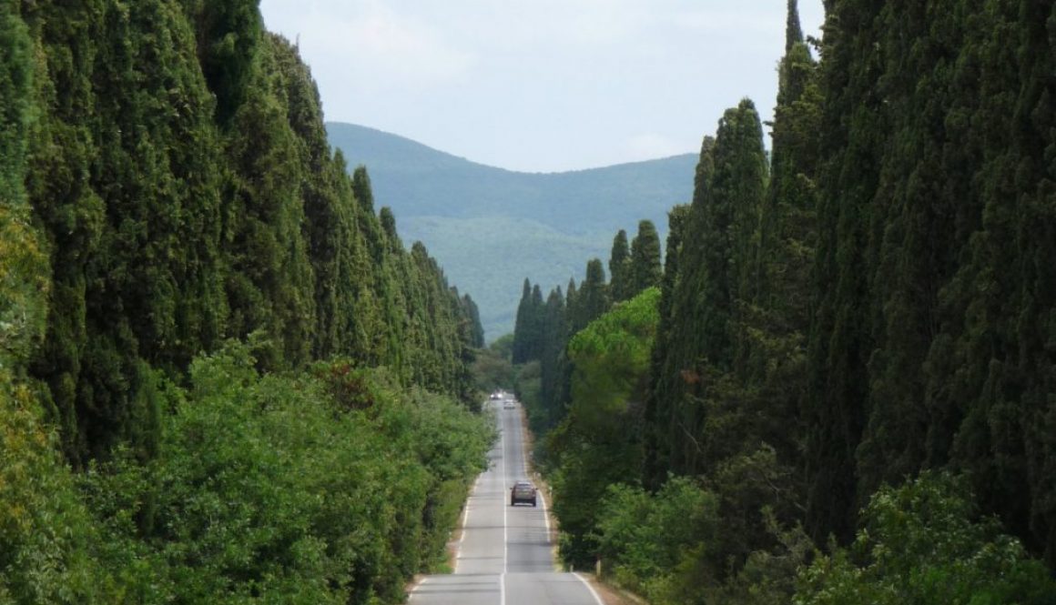 cipressi-toscani