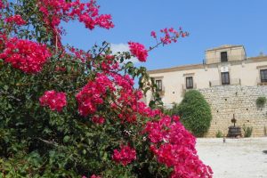 tenuta Curto e bouganville, Ispica