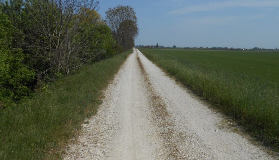 fiume Gorzone, argine sterrato destro, Vescovana