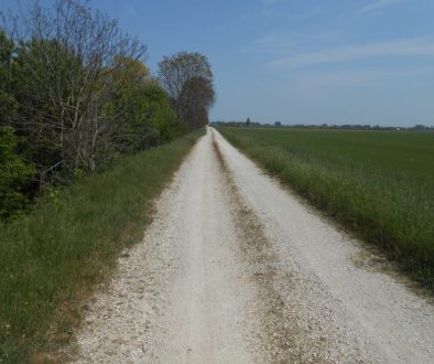 fiume Gorzone, argine sterrato destro, Vescovana